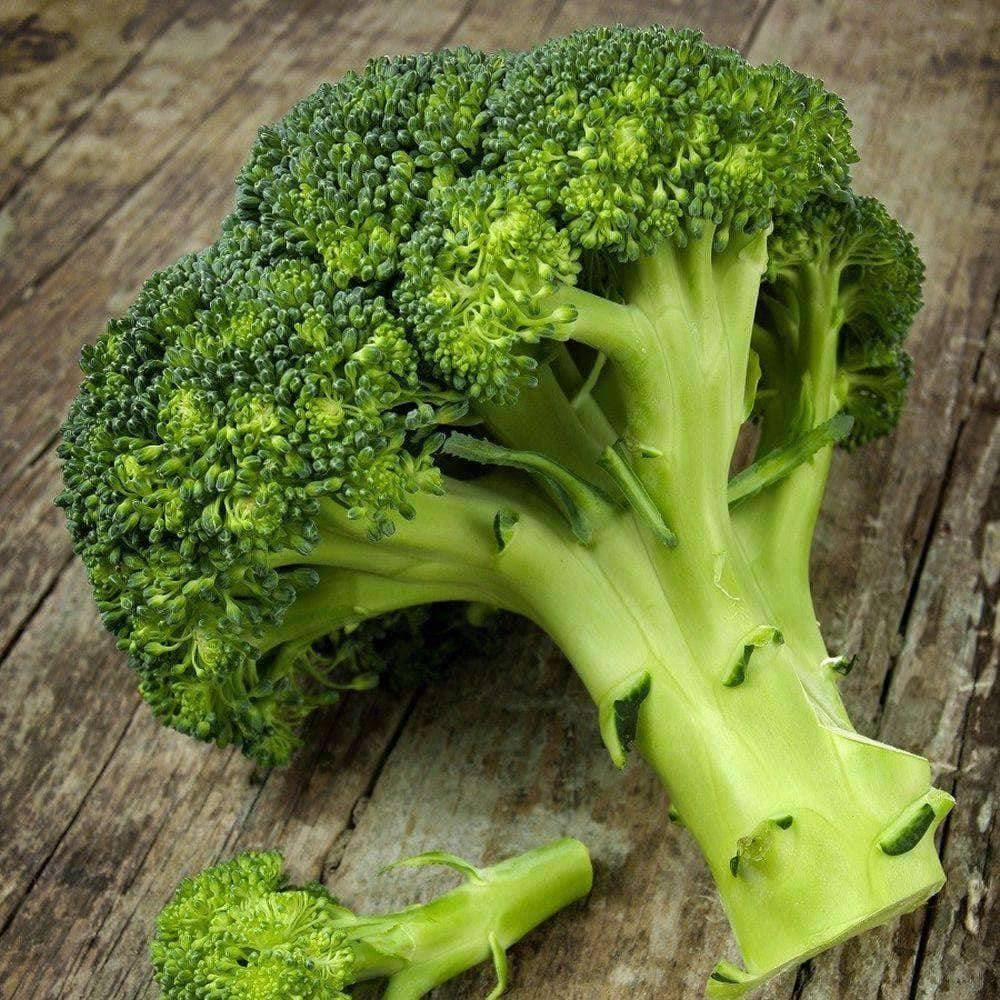 Waltham 29 Broccoli Seeds (1g) - My Patriot Supply