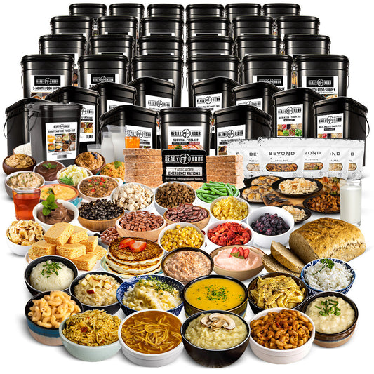 MEGA 1-Year Emergency Food & Protein Supply (2,500+ calories/day, 41 different food pouch varieties)